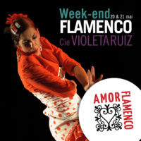 FLAMENCO | Stages + Spectacle avec Violeta Ruiz | 13/14 janvier 2018 | Rivesaltes